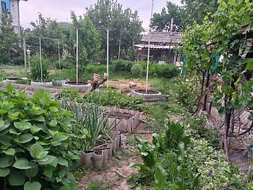 кв 3: Продаётся жилой дом с участком по адресу: ул. Спортивная, 71 — 4