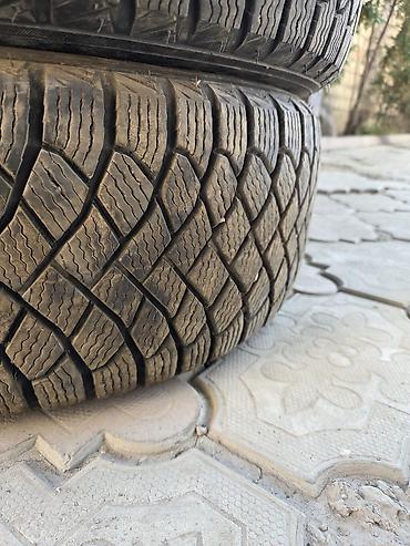Шины и диски: Комплект зимних шин Maxxis Premitra Snow (M+S, 3PMSF) — 4 штуки. Год — 6