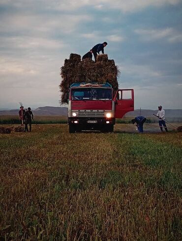 купить опель вектра б: Башкалар
