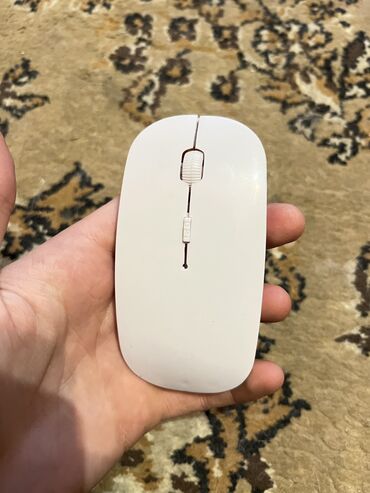 Kompüter və noutbuk aksesuarları: Mous