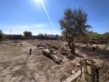 Torpaq sahələrinin satışı: 6 sot, Kənd təsərrüfatı, Kupça (Çıxarış) — 14