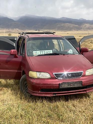 Honda Odyssey: 1997 г., Автомат, Бензин, Вэн/Минивэн — 2