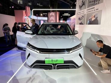 Tesla: BYD : 2024 г., 0.1 л, Электромобиль, Хэтчбэк