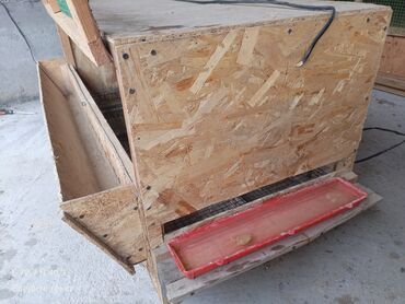 Товары и оборудование для с/х животных: Брудер/клетка для молодняка птицы - Материал: каркас и стены из OSB — 8