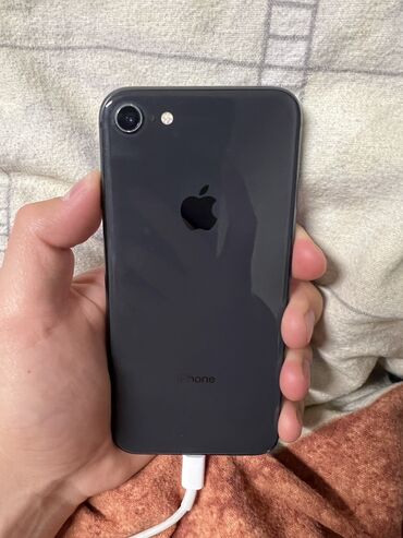 Apple iPhone: IPhone 8, Б/у, 64 ГБ, Черный, Чехол, 100 %