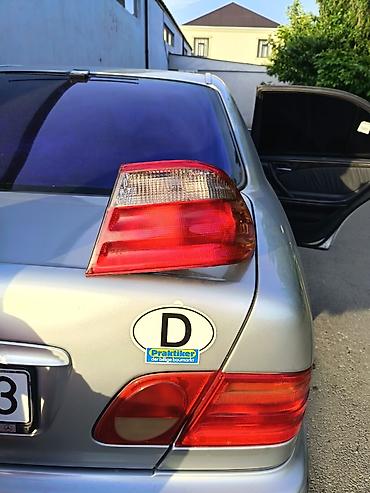 maşın baqaj: Avtomobil üçün “D” ölkə kodlu oval çıxarıla bilən stiker - Növ: Arxa — 3