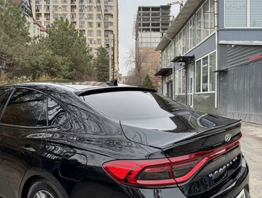 Другой тюнинг: Спойлеры на Hyundai Grandeur 
Под заказ Корея оригинал