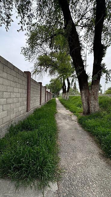 Продажа участков: 6 соток, Для бизнеса, Договор купли-продажи, Красная книга, Тех паспорт — 13