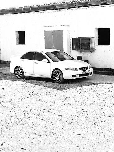 Honda Accord: 2003 г., 2.4 л, Автомат, Бензин, Седан
