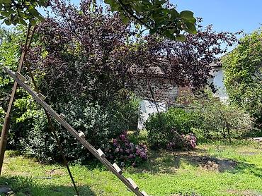 Günlük kirayə evlər: 2 kv. m, 5 otaqlı — 4