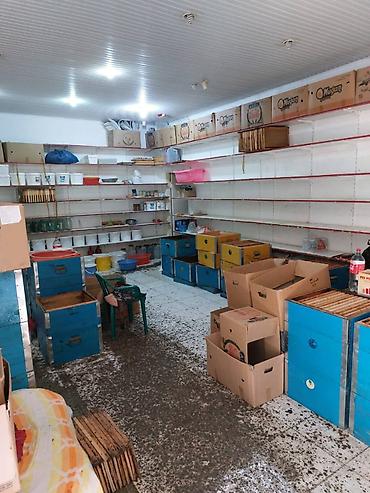 emlak az gence: Salam, obyekt satılır. Obyekt yol kənarında, 9 mərtəbəli yaşayış — 5