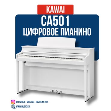 Другие музыкальные инструменты: Цифровое пианино Kawai CA401 Kawai CA401 — это пианино цифровое