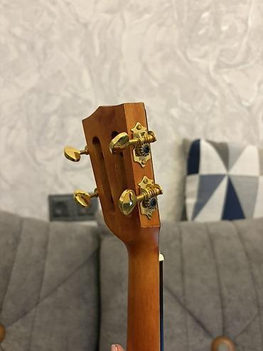 ukulele: Ukulele, Yeni — 4