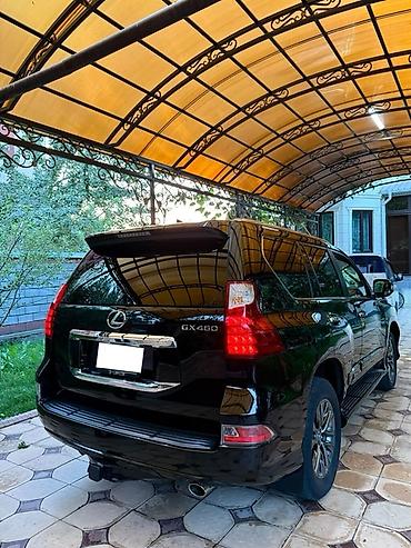 ls 400: Lexus GX: 2019 г., 4.6 л, Автомат, Бензин, Внедорожник — 10