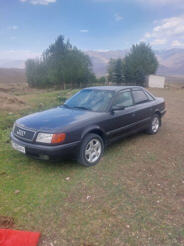 решетка на виндом: Audi 100: 1993 г., 2.3 л, Механика, Бензин, Седан