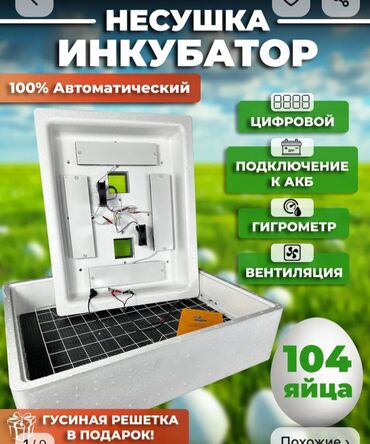 Инкубаторы: Автоматический инкубатор для яиц, предназначенный для выведения
