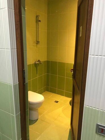 Ofislər: Gənclik metrosuna yaxın yol kənarı ümumi sahəsi 220 kv,m olan — 3