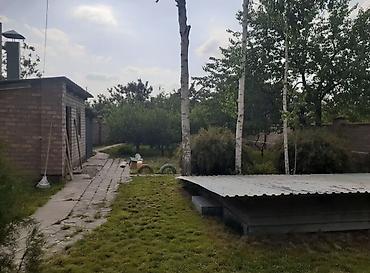 баха магистирал: Сдаю Отдельное здание, дом, 6 комнат и более, 364 м², С игровой площадкой — 8
