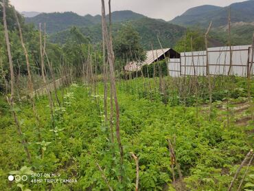 Həyət evləri və villaların satışı: 6 otaqlı, 224 kv. m — 25