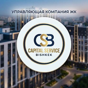Уборка территории, Уборка снега