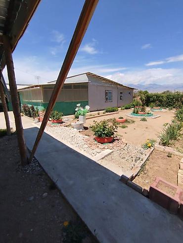 Продажа участков: 200 соток, Для сельского хозяйства — 6