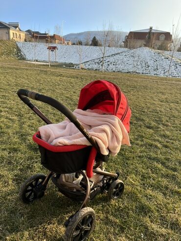 детская коляска cybex: Коляска, Новый