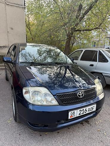 daewoo matiz 1: Toyota Corolla: 2003 г., 1.6 л, Механика, Бензин, Седан — 2