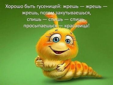 гостиницы бишкек центр: 15 кв. м, Эмерексиз