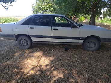 мотор жок: Audi 100: 1989 г., Кол менен иштөөчү, Бензин, Седан — 4