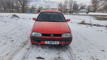 Volkswagen: Volkswagen Golf GTI: 1993 г., 2 л, Механика, Газ, Хэтчбэк