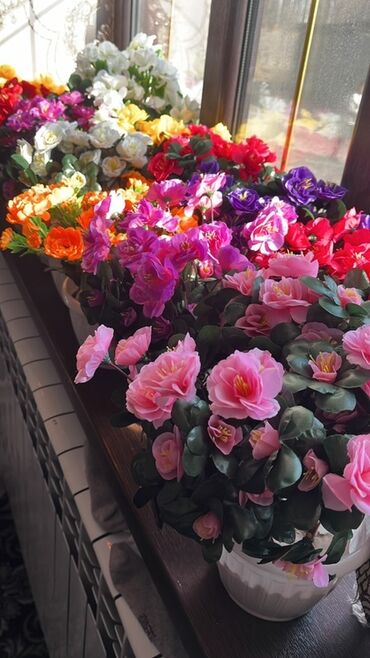 Декоративные цветы: Искусственные горшечные цветы - Яркие декоративные композиции в белых — 1