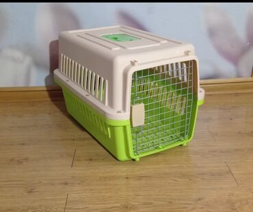 скоттиш фолд шотландская вислоухая кошка: Пластиковые переноски боксы размер 2 и 1 для транспортировки и