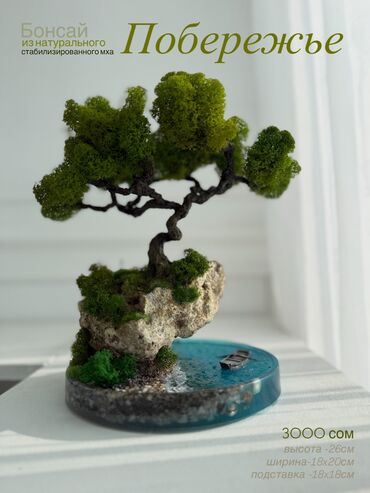 Декоративные цветы: Деревья-бонсай из натурального стабилизированного мха🌳 -это — 45