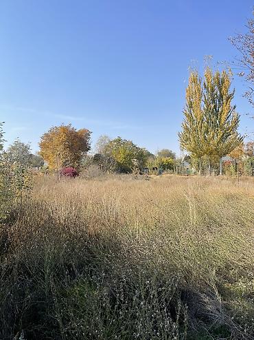 Продажа коттеджей и домов: 💎 Продается кирпичный дом 8 соток 🚩Адрес : село Ленинское 🚩 3х — 16