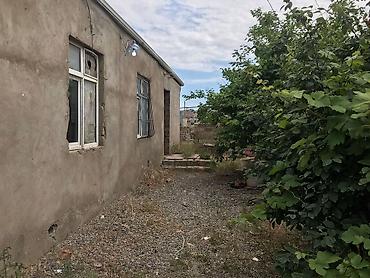 Продажа домов: Поселок Бинагади 5 комнат, 2500 м², Нет кредита, Средний ремонт — 10