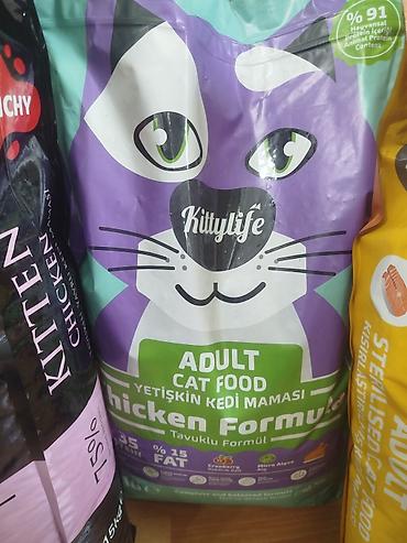сухой корм для кошек: Kittylife Adult Sterilised Cat Food – Salmon Formula, 10 кг - Сухой — 7
