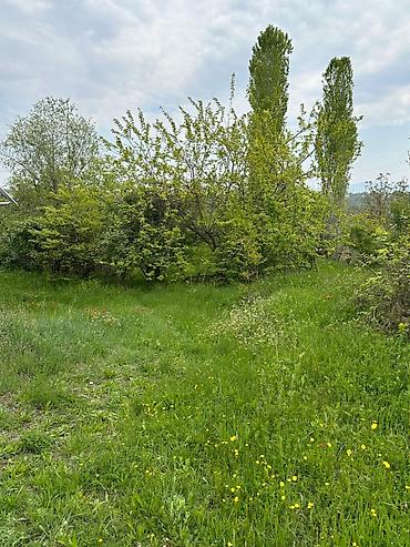 kirov qesebesi: 32 sot, Tikinti, Mülkiyyətçi, Kupça (Çıxarış) — 5