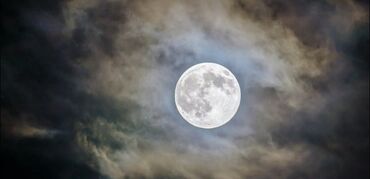 тумба пол телевизор: Продаю IPhone 11 Черный цвет 128 Gb AKB 89% 3 состояние хорошая Всё