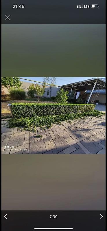 Дворники, садовники: 🌱Я Садовник Стрижка Живой изгородь,самшит,Туи,хвойные растения, Я — 7