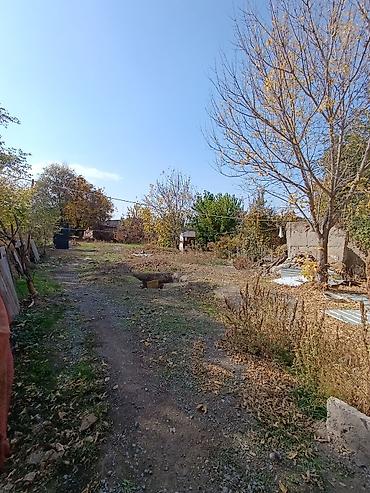 Продажа коттеджей и домов: Продаются 🏡 Дом Город Орловка! Рядом всё есть ! В доме есть санузел — 30