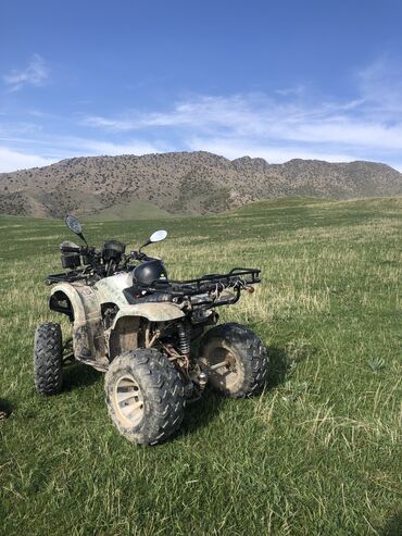 машина муссо: Квадроцикл Бензин, 200 куб. см, Чоңдор үчүн lalafo.kg да машина муссо: Квадроцикл Бензин, 200 куб. см, Чоңдор үчүн