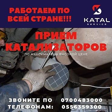 б у шубы: Скупка катализаторов Катализатор дорого котализатор котолизатор — 2