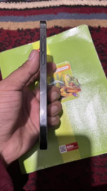 Apple iPhone: IPhone 12 Pro Max, Графит — 2