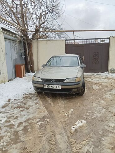 Opel: Opel Vectra: 1.6 л | 1996 г. 120000 км Седан