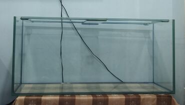 аквариум купить: Dördbucaq akvarium, Boş, 1 l, Ünvandan götürmə