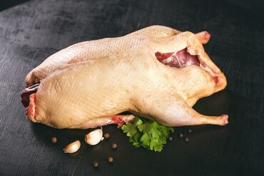 суши продукты: Мясо утки, мясо бролерное вкусное на натуральных кормах, заказать за