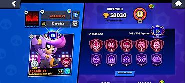 idman qida: Brawl Stars hesabı – yüksək göstəricilərlə - Kupa: 58,030 (rekord — 1