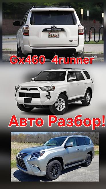 4runner 285. Gx460. Prado 150. Тойота 4runner 285. Тойота Прадо 150