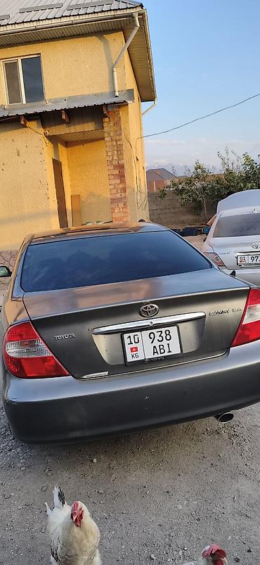 Toyota: Toyota Camry: 2003 г., 2.4 л, Механика, Бензин, Седан — 5