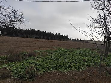 bakı ümid qəsəbəsi: 34 sot, Biznes üçün, Mülkiyyətçi, Kupça (Çıxarış) — 2